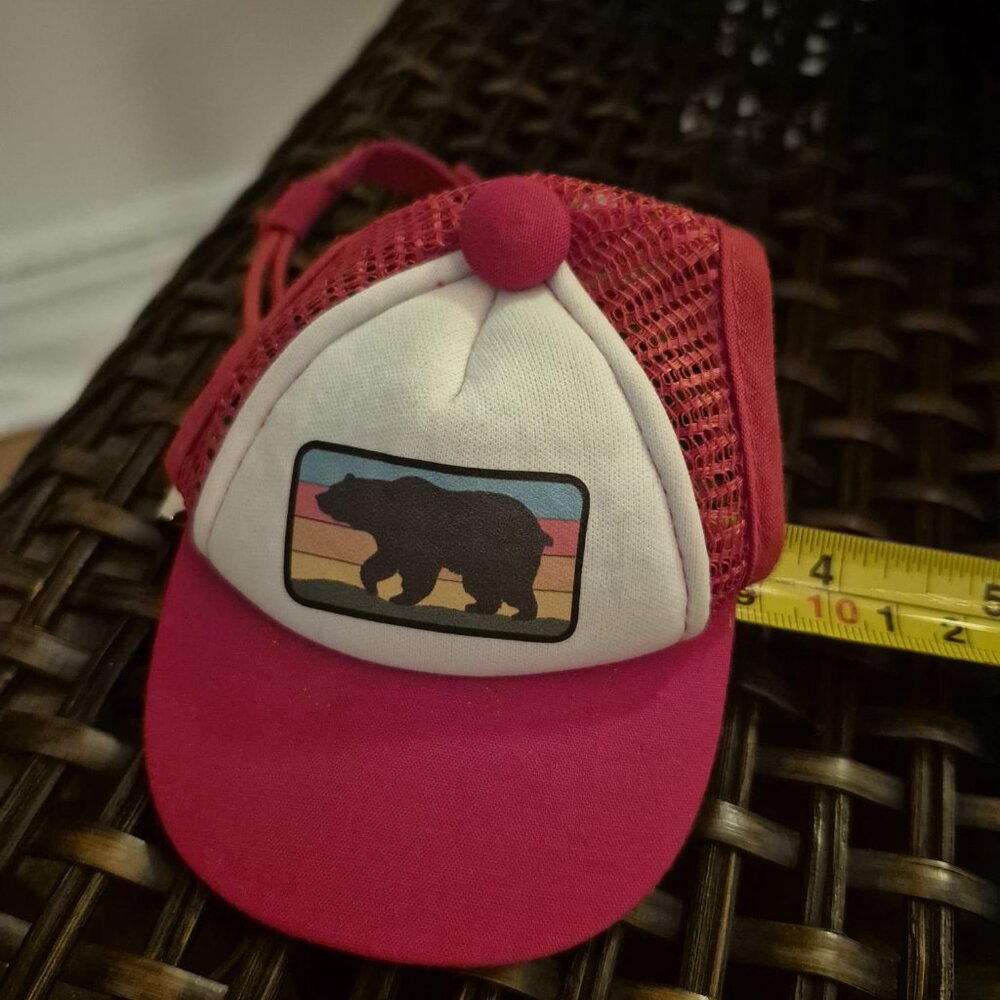 🐩 Clothes and Accessories for Dog Size S or XS - Post 1 of 2 - Picture 15 of 16